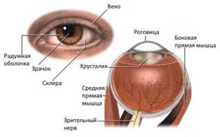 Причины двоения в глазах при взгляде вдаль и лечение
