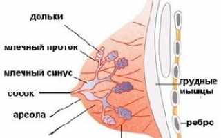 Форму груди после родов легко восстановить при правильном уходе за ней