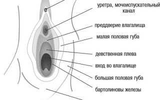 Причины боли клитора после родов и зачем обращаться к врачу?