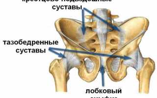 Боль в лобке и тазу после родов и как определить симфизит