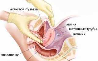 Зачем УЗИ нужно делать после родов