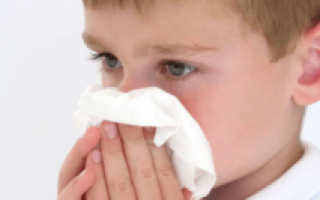 Кровь из носа при насморке: причины, почему кровит во время простуды у взрослого, что делать если периодически кровоточит?