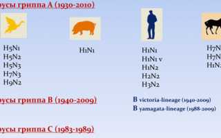 Какой грипп сейчас ходит
