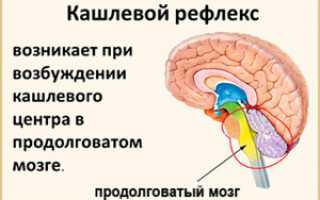 Сухой кашель ночью у ребенка: причины, как успокоить приступ кашля, лечение кашля без температуры