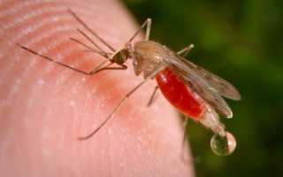 Почему ежегодно более 4 миллионов человек погибает от малярии?